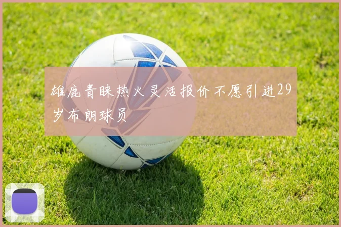 雄鹿青睐热火灵活报价不愿引进29岁布朗球员